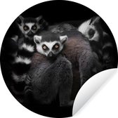 Papier peint cercle - Papier peint autocollant - Maki - Animaux - Sauvage - Zwart et blanc - 50x50 cm - Papier peint cercle - Papier peint rond - Décoration murale ronde - Salon