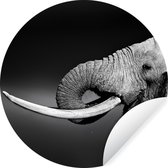 Behangcirkel - Wilde dieren - Olifant - Drinken - Zwart - Wit - 50x50 cm - Zelfklevend behang - Behang rond - Behangcirkel dieren - Muurdecoratie rond