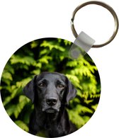 Porte-clés - Un Labrador noir entre les feuilles vertes - Plastique - Rond