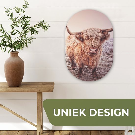 Ovale Mural - Décoration murale Plastique - Peinture Ovale - Highlanders écossais - Neige - Soleil - 40x60 cm - Forme miroir ovale sur plastique