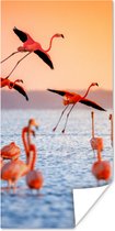 PosterMonkey - Poster - Fotolijst - Vogel - Flamingo - Zonsondergang - Water - Tropisch - 80x160 cm - Poster in lijst - Poster flamingo - Poster frame - Poster dieren
