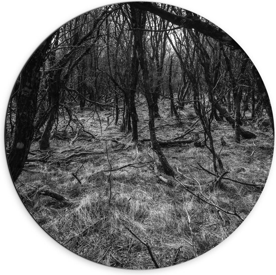 WallClassics - Dibond Muurcirkel - Takken in het Bos Zwart / Wit - 70x70 cm Foto op Aluminium Muurcirkel (met ophangsysteem)