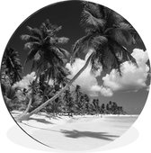 WallCircle - Wandcirkel - Muurcirkel - Palmbomen op strand in Dominicaanse Republiek zwart-wit - Aluminium - Dibond - ⌀ 90 cm - Binnen en Buiten