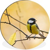 WallCircle - Cercle mural - Cercle mural - Mésange charbonnière - Branche - Vogel - Animaux - Aluminium - Dibond - ⌀ 120 cm - Intérieur et Extérieur XXL