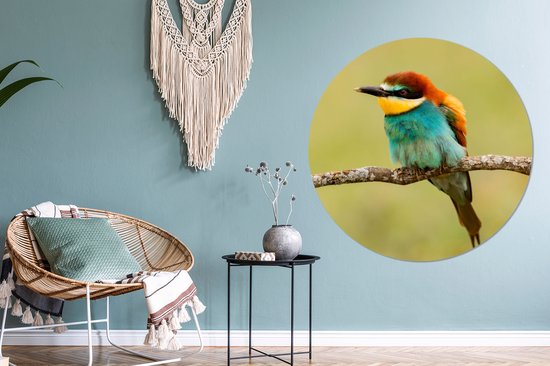 Cercle Mural - Cercle Mural - Vogel - Guêpier - Animaux - Aluminium - Dibond - 140x140 cm - Intérieur et Extérieur