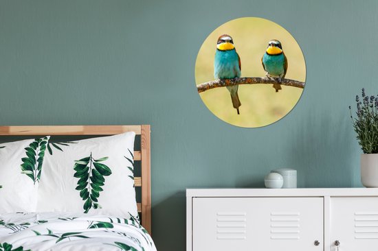 WallCircle - Cercle Mural - Cercle Mural - Vogels - Animaux - Guêpier - Aluminium - Dibond - 60x60 cm - Intérieur et Extérieur