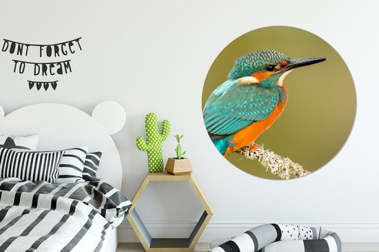 Cercle Mural - Cercle Mural - Martin Pêcheur - Animaux - Vogel - Aluminium - Dibond - 140x140 cm - Intérieur et Extérieur