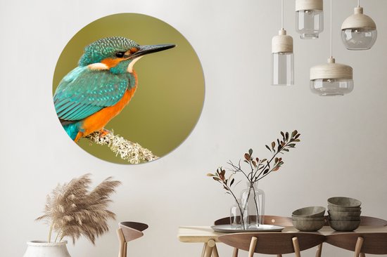 Cercle Mural - Cercle Mural - Martin Pêcheur - Animaux - Vogel - Aluminium - Dibond - 140x140 cm - Intérieur et Extérieur