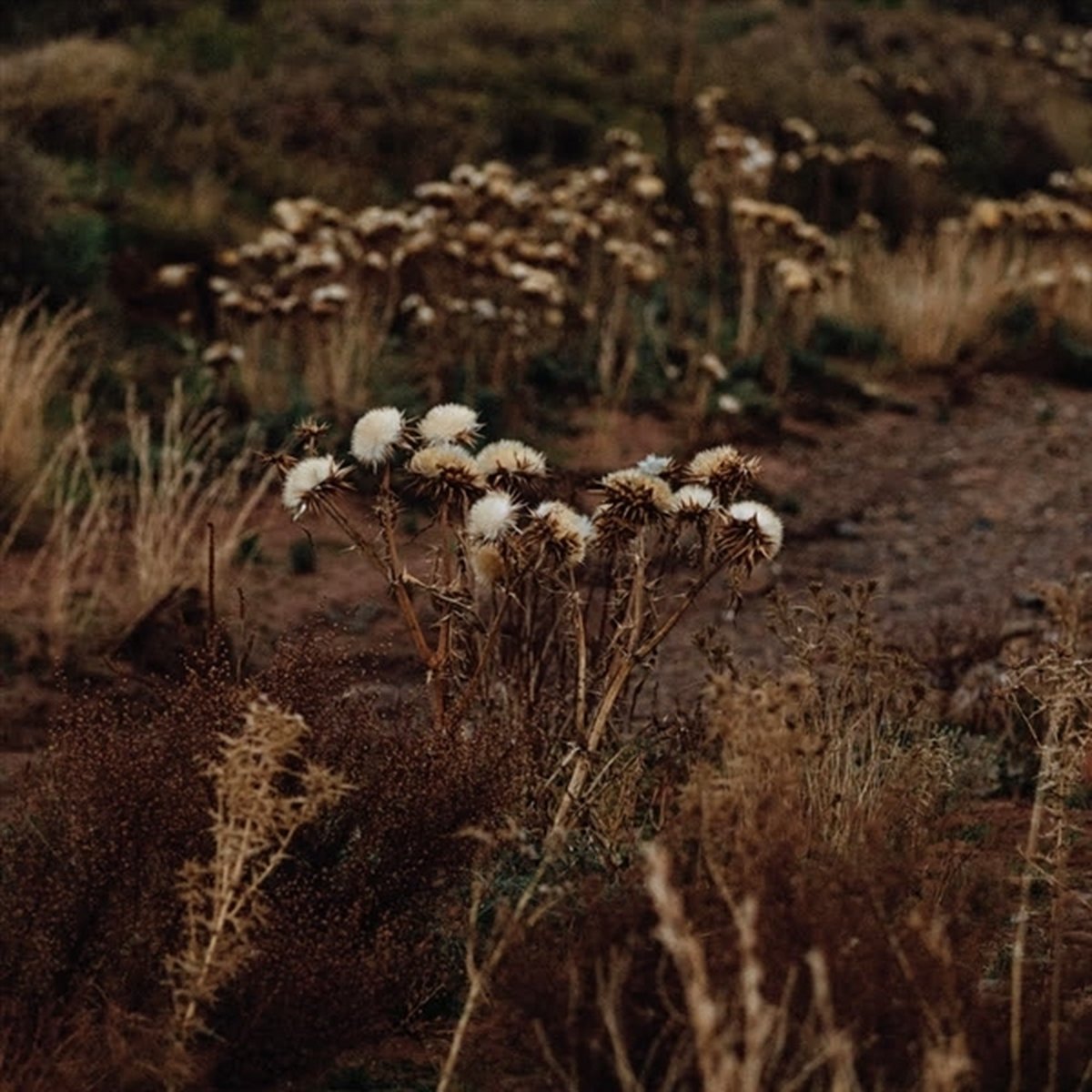 The Fundamental Nature of Being, Part Two