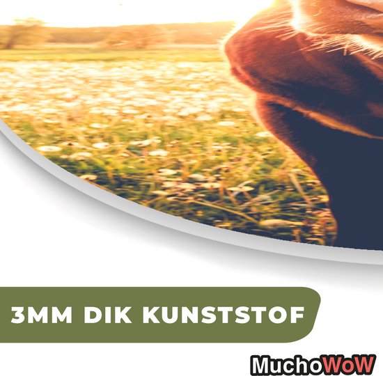 Ovale Mural - Décoration murale Plastique - Tableau Ovale - Vache - Coucher de Soleil - Fleurs - Prairie - 40x60 cm - Forme Miroir Ovale sur Plastique