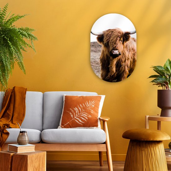Ovale Mural - Ovale Mural - Décoration murale Plastique - Peinture Ovale - Highlander écossais - Paysage - Vache - Marron - Animaux - Nature - 40x60 cm - Forme miroir ovale sur plastique