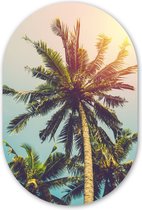 Muurovaal - Kunststof Wanddecoratie - Ovalen Schilderij - Palmboom - Zomer - Tropisch - Zon - 60x90 cm - Ovale spiegel vorm op kunststof