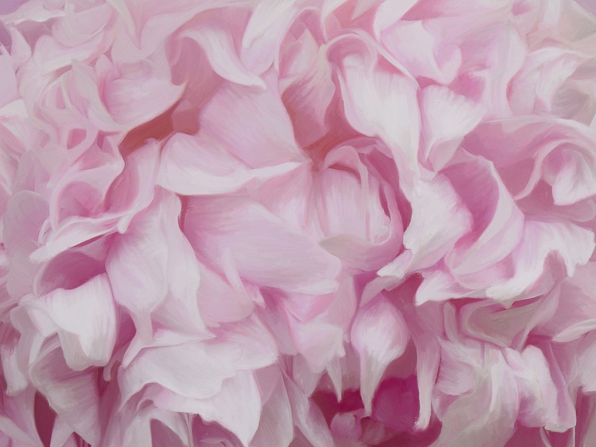 Fotobehang - azalea (pink).