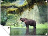 Tuinschilderij Jungle - Olifant - Water - 80x60 cm - Tuinposter - Tuindoek - Buitenposter