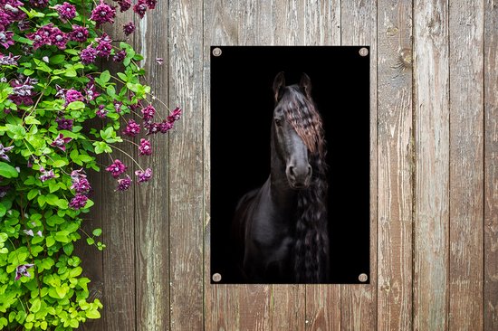 Portrait d'un cheval frison sur fond noir affiche de jardin toile en vrac 60x90 cm - Toile de jardin / Toile d'extérieur / Peintures d'extérieur (décoration de jardin)