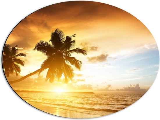 WallClassics - Dibond Ovaal - Palmbomen op het Strand bij Zonsondergang - 56x42 cm Foto op Ovaal (Met Ophangsysteem)