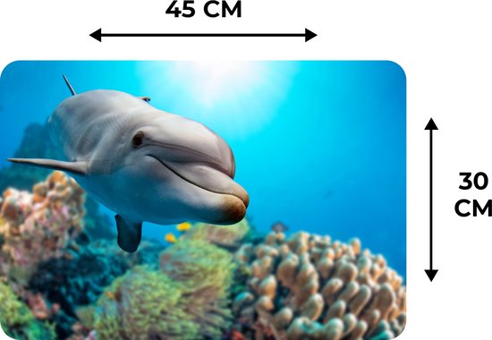 Lot De 6 Sets De Table En Forme De Dauphin - 30,5 X 45,7 Cm - Antidérapants - Résistants à La Chaleur