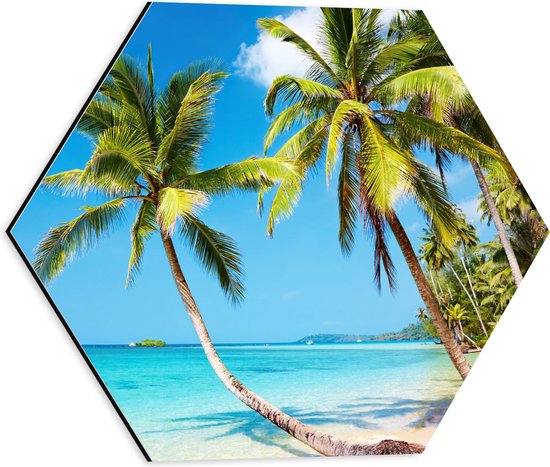 WallClassics - Dibond Hexagon - Tropisch Strand met Palm Bomen - 40x34.8 cm Foto op Hexagon (Met Ophangsysteem)