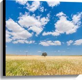 WallClassics - Canvas  - Witte Schapenwolken boven Graslandschap - 60x60 cm Foto op Canvas Schilderij (Wanddecoratie op Canvas)