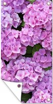 Tuinposter Bloemen - Hortensia - Struik - Roze - Bloemblaadjes - 30x60 cm - Tuindoek - Buitenposter