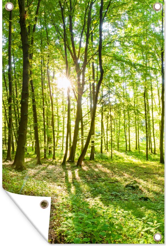 Tuinposters buiten Natuur - Bomen - Bos - Groen - Zonlicht - 60x90 cm - Tuindoek - Buitenposter
