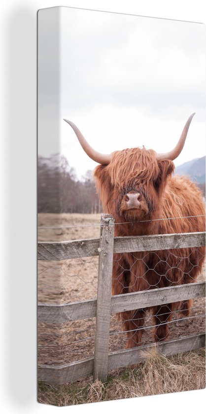 Tableau sur Toile Scottish Highlander - Herbe - Clôture - 20x40 cm - Décoration murale