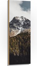 WallClassics - Hout - Berg achter het Bos - 40x120 cm - 12 mm dik - Foto op Hout (Met Ophangsysteem)