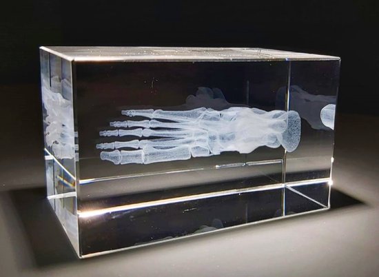 Modèle 3D du pied en brique de verre - squelette anatomique du pied