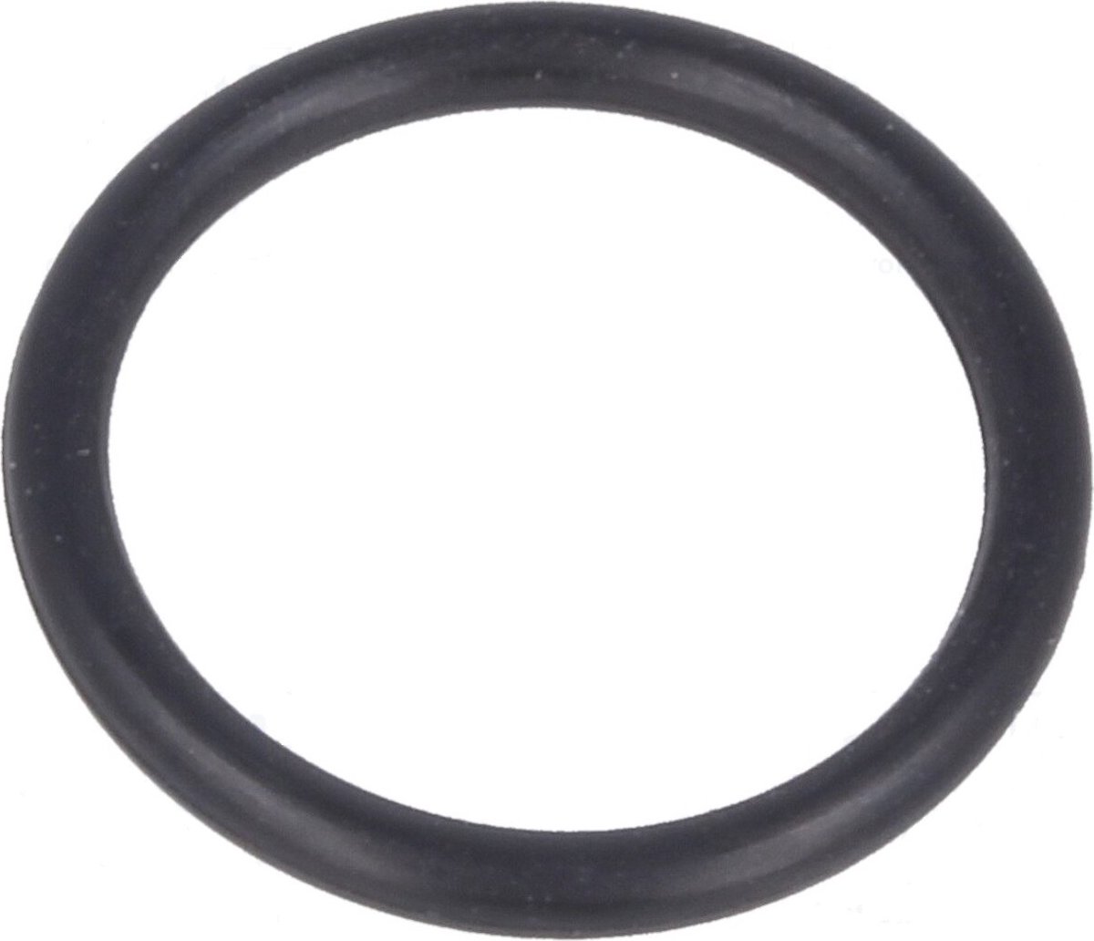 Rubberen O-ring - Afdichtingsring - 24 x 2mm - 5 stuks | bol.com