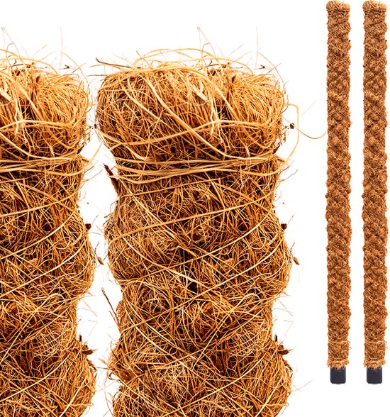 Kokosstok - 2 stuks - 80 cm hoog - 3,2 cm dik - Steunstok, plantensteun, plantenstok, mosstok
