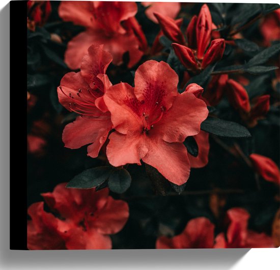 WallClassics - Canvas  - Rode Bloem met Groen Blad - 30x30 cm Foto op Canvas Schilderij (Wanddecoratie op Canvas)