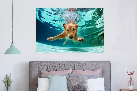 Wanddecoratie Metaal - Aluminium Schilderij - Zwembad - Hond - Water - Dibond