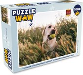 Puzzel Labrador Retriever speelt met een tennisbal tussen het gras - Legpuzzel - Puzzel 1000 stukjes volwassenen