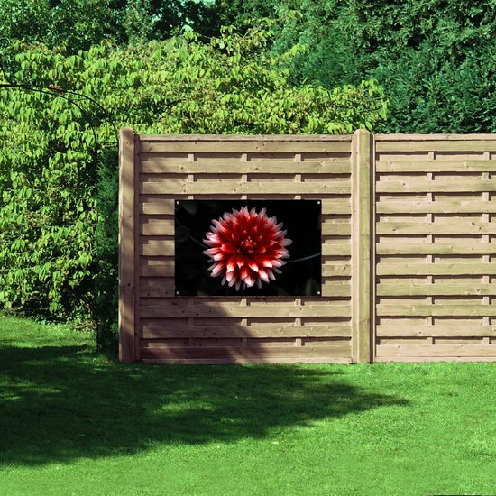 WallClassics - Poster de jardin - Rose avec Bloem rouge - 120 x 80 cm Photo sur poster de jardin (décoration murale pour extérieur et intérieur)