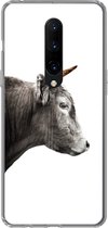 Geschikt voor OnePlus 7 Pro hoesje - Schotse hooglander - Hoorn - Gold - Siliconen Telefoonhoesje