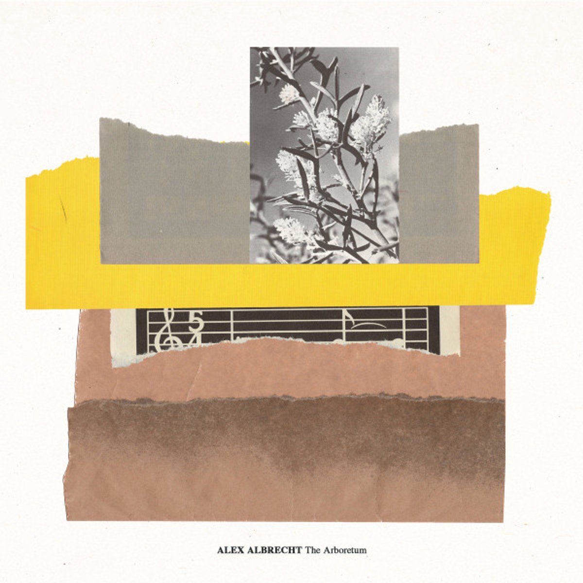 Alex Albrecht - The Arboretum