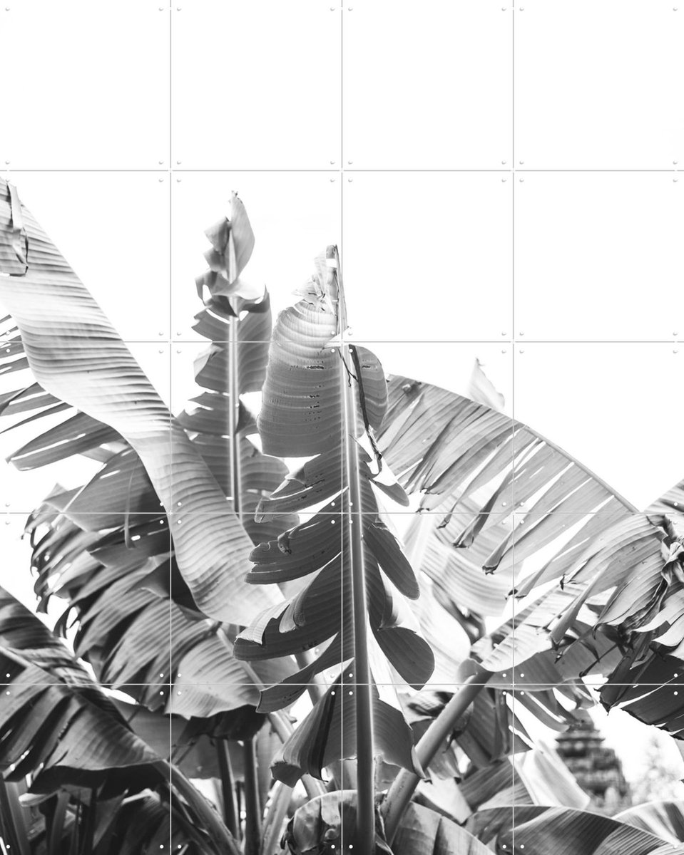 IXXI Banana Tree, Pati Photography - 80 x 100 cm - Gratis ophangtool - Grote wanddecoratie en posters - Fotografie, Slaapkamer, Woonkamer, Natuur