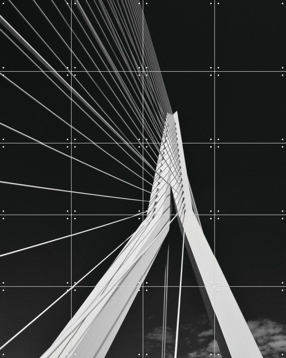 IXXI Erasmus Bridge, Edwin Fotografeert & Kunst in Kaart - 80 x 100 cm - Gratis ophangtool - Grote wanddecoratie en posters - Fotografie, Geometrische