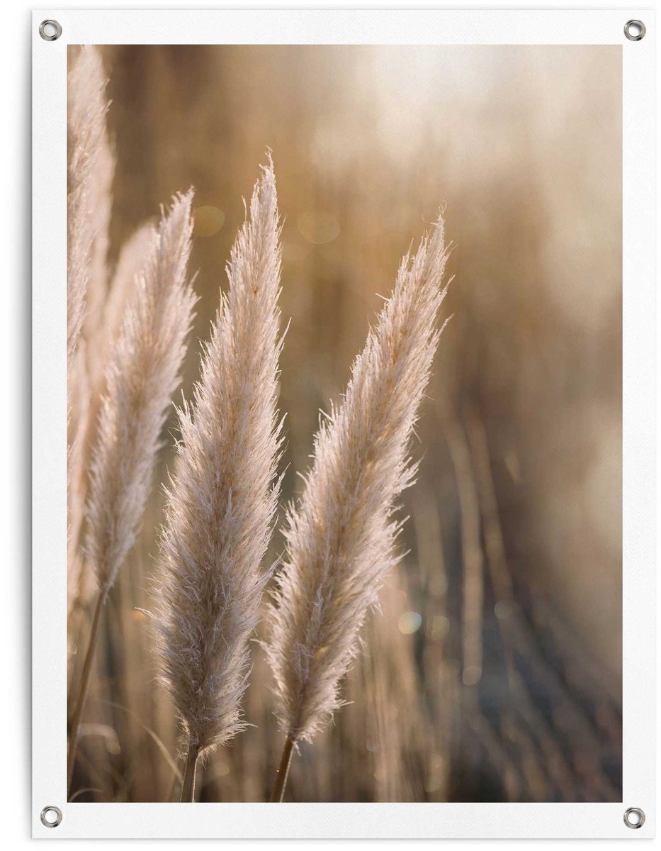 Tuinposter Pampas - 80 x 60 - Canvas - REINDERS