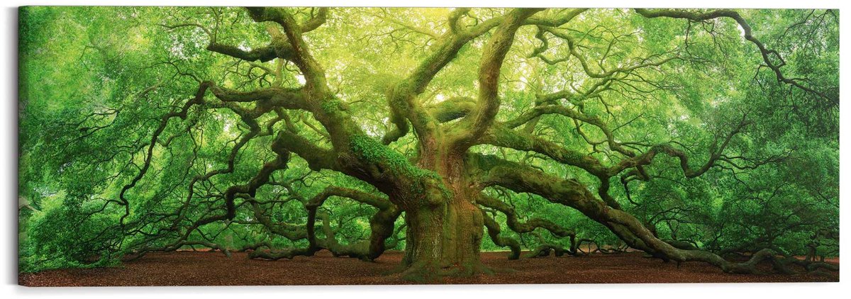 Reinders Schilderij Oude eik - 40 x 118 - Hout - REINDERS