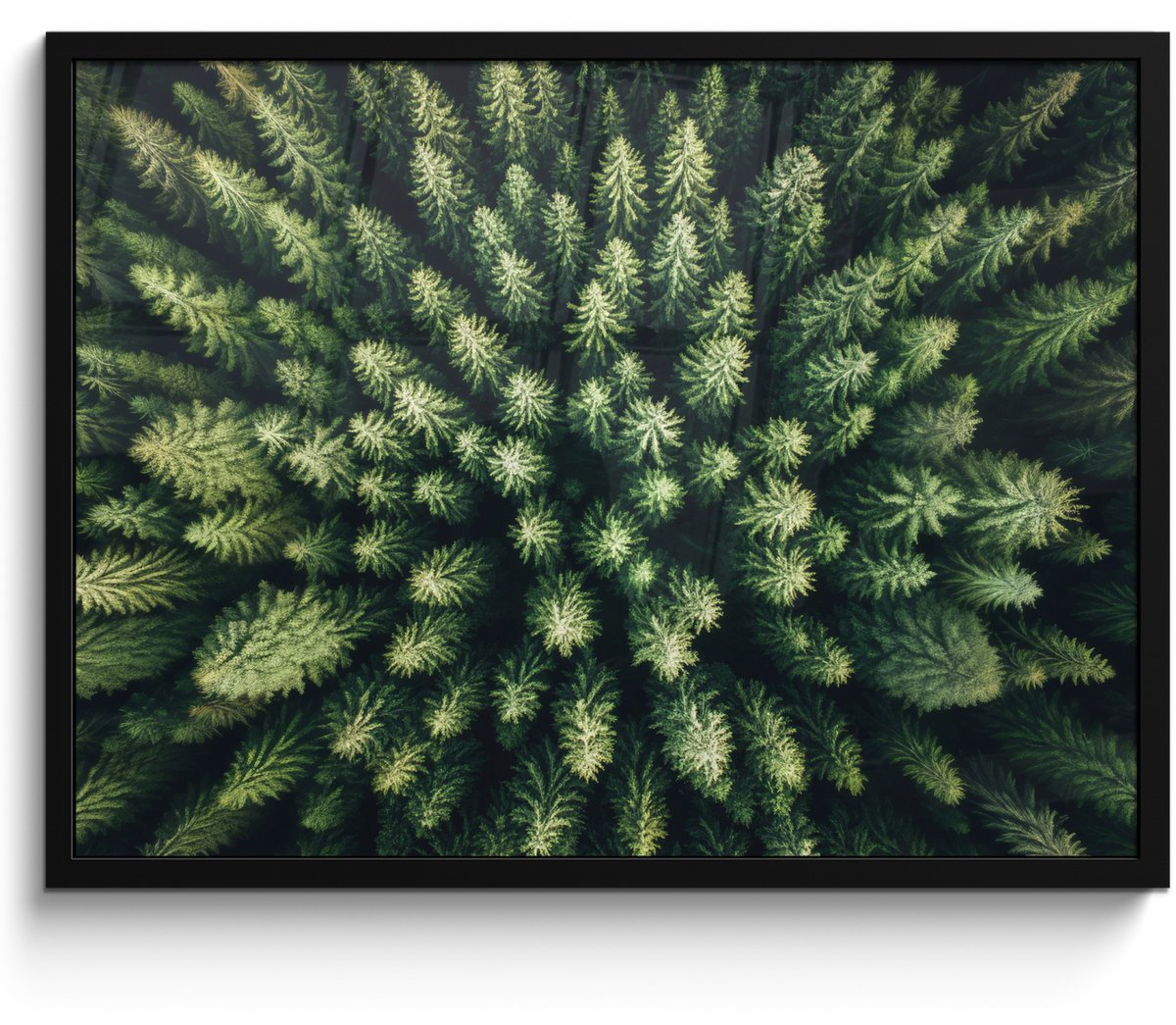 FrameYourWall Poster in lijst - Fotolijst 70x50 cm - Posters - Bomen - Naaldwoud - Structuur - Posterlijst zwart - Decoratie - Wanddecoratie woonkamer - Muurdecoratie slaapkamer