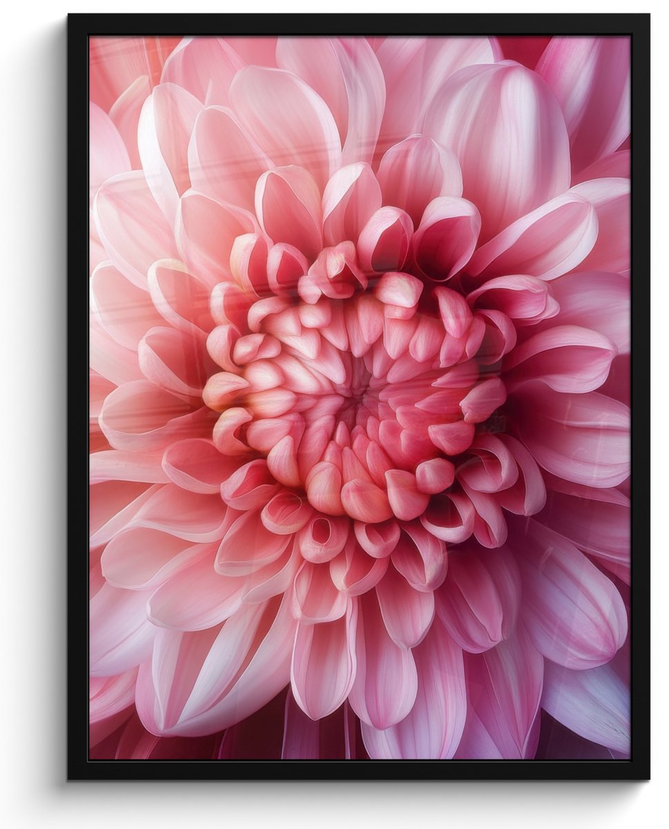 FrameYourWall Poster in lijst - Fotolijst 50x70 cm - Posters - Dahlia - Bloem - Close up - Roze - Posterlijst zwart - Decoratie - Wanddecoratie woonkamer - Muurdecoratie slaapkamer