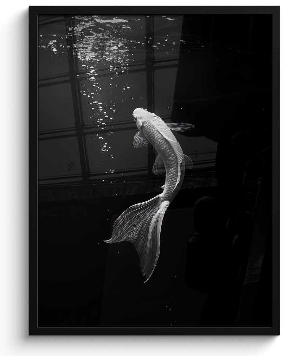 FrameYourWall Poster in lijst - Fotolijst 50x70 cm - Posters - Koi - Vis - Wit - Zwart - Posterlijst zwart - Decoratie - Wanddecoratie woonkamer - Muurdecoratie slaapkamer Kroi