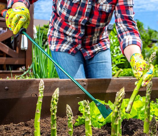 Aspergesteker Staal - Onkruidsteker Tuin - Onkruid Verwijderen - Ergonomische Kunststof Handgreep - 585 cm Lengte — afbeelding 2