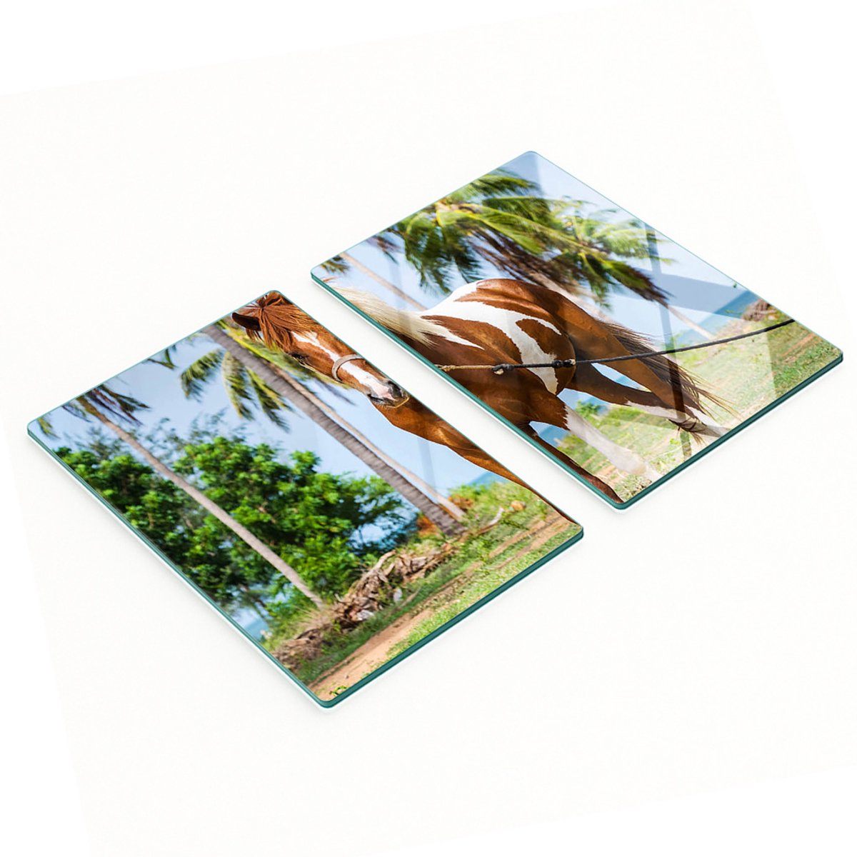 Geharde multifunctionele decoratieve glazen borden Pinto Paard 2x40x52 cm