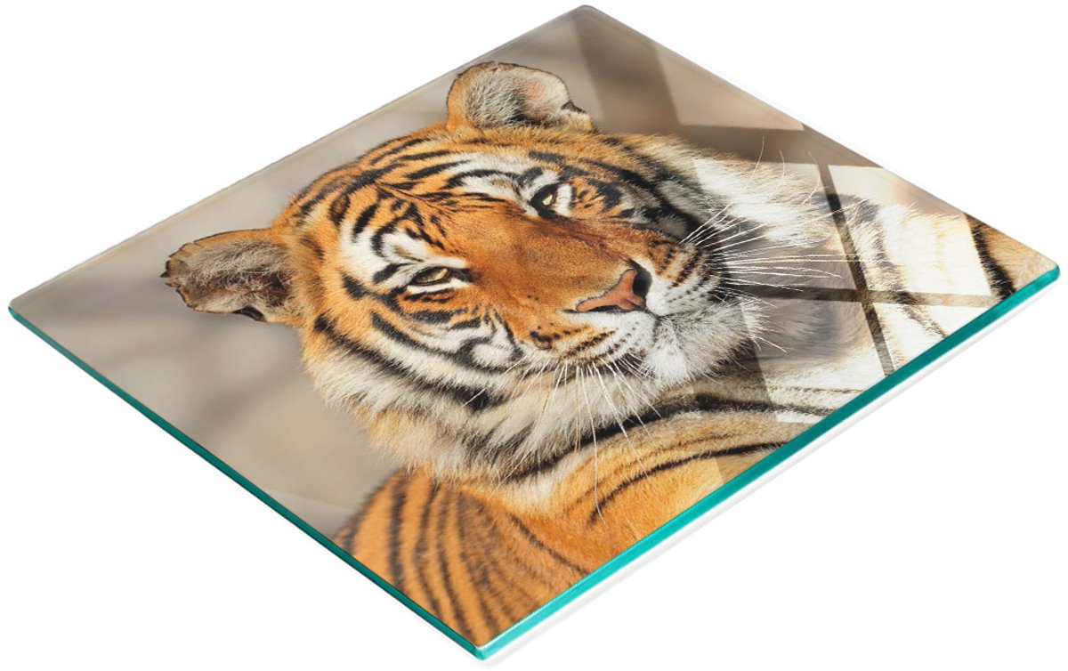 Decoratieve glazen keukensnijplank met Bengaalse tijgermotief, 60x52 cm