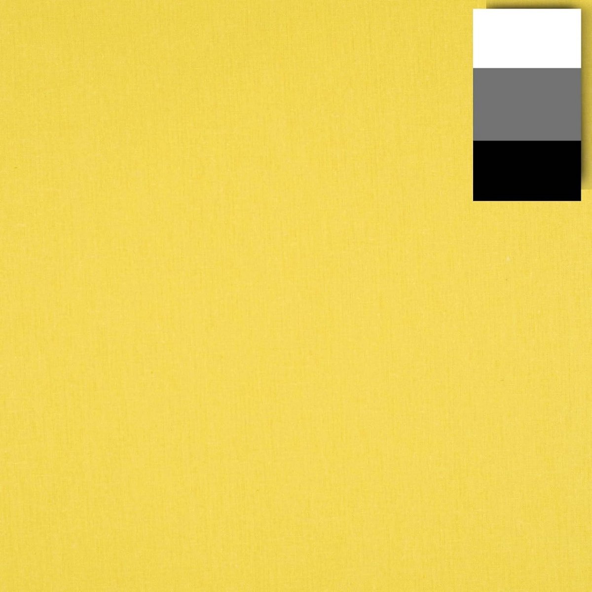 Stoffen Achtergrond Doek 2,85 x 6 m Zonnegeel voor Fotostudio
