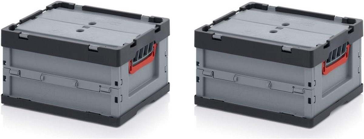 Set van 2 Opvouwbare Opbergboxen met Deksel 40x30x22 cm - Stevige Kisten