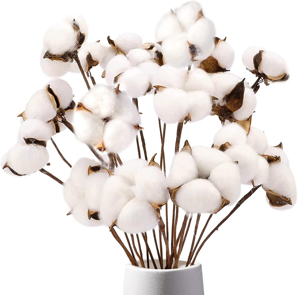Natuurlijke Katoenen Takken voor Decoratie | 8 Stelen met 15 Bollen | Droogbloemen voor Vaas