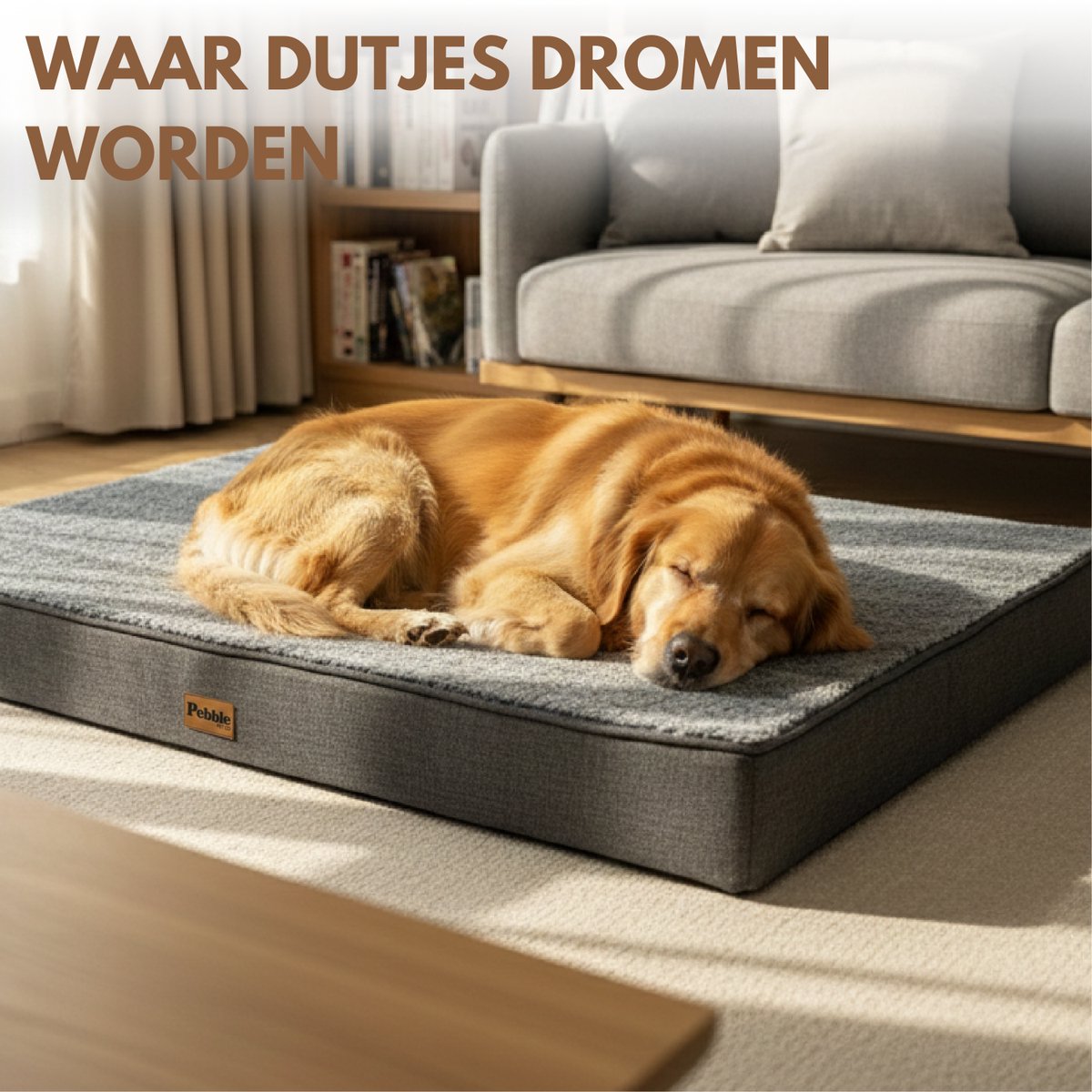 Pebble Orthopedisch Hondenkussen 75x50 cm - Hondenmand & Benchkussen - Dierenkussen - Voor Kleine tot Middelgrote Honden - Hondenbed – foto 5